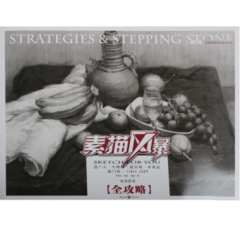 素描风暴-素描静物·全功略 素描静物临摹 静物素描书 铅笔绘画入门教材 pdf epub mobi 电子书 下载