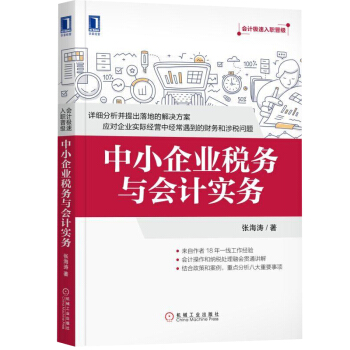 中小企業稅務與會計實務會計極速入職晉級 財務管理 會計書 企業財務 中小企業財稅實操專業