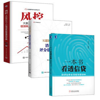 【全3册】一本书看透信贷+风控大数据时代下的信贷风险管理和实践+互联网金融时代消费信贷评 pdf epub mobi 电子书 下载