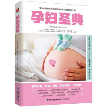 孕妇圣典 pdf epub mobi 电子书 下载
