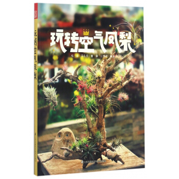 玩轉空氣鳳梨 pdf epub mobi 電子書 下載