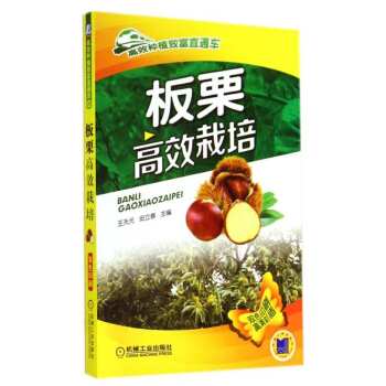 板栗高xiao栽培 板栗病虫害诊断书籍 栽培技术板栗树种植技术 板栗病虫害诊断原色 pdf epub mobi 电子书 下载