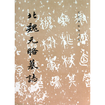 北魏元略墓志 pdf epub mobi 电子书 下载