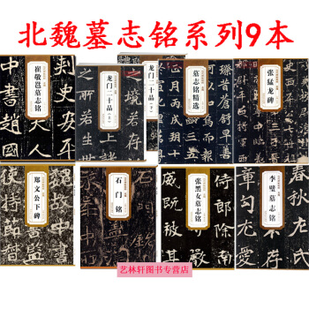 北魏墓志铭碑帖 李璧墓志铭+龙门二十品+张猛龙碑+墓志铭精选+张黑女字帖 书法共9本 pdf epub mobi 电子书 下载