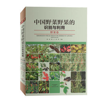 中野菜野果的识别与利用(野果卷) 畅销书籍 正版 农业 林祁,林云,赵阳 pdf epub mobi 电子书 下载