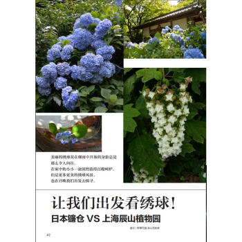 花園MOOK·綉球號 pdf epub mobi 電子書 下載