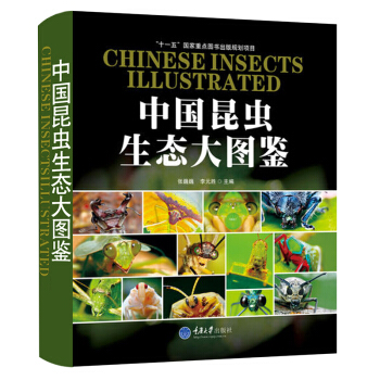 中國昆蟲生態大圖鑒 科普讀物 書籍 pdf epub mobi 電子書 下載