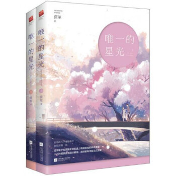 唯一的星光(上下) pdf epub mobi 电子书 下载