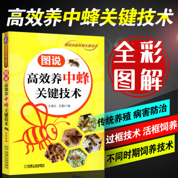 高效养中蜂关键技术土蜜蜂养殖技术书籍中蜂高效养殖技术大全实用养蜂技术养中华蜂大全书籍养蜂书 pdf epub mobi 电子书 下载