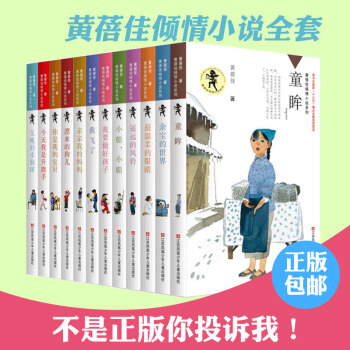黄蓓佳倾情小说系列全套12册正版包邮/今天我是升旗手/漂来的狗儿/我要做好孩子/童眸/亲 pdf epub mobi 电子书 下载