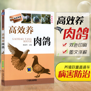 高效養肉鴿養鴿子書籍鴿子養殖技術書大全鴿子預防各種疾病書籍科學飼養鴿子的書肉鴿養殖書籍大全
