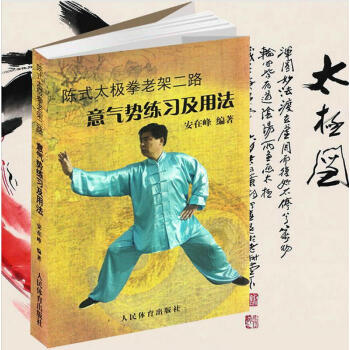 【正版】意气势练习及用法（老架二路）/正宗陈氏太极拳 太极内功心法全书 武术运动基本训练 pdf epub mobi 电子书 下载