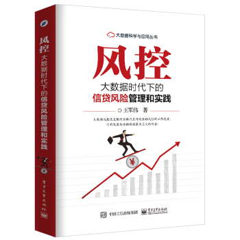 风控：大数据时代下的信贷风险管理和实践 金融与投资 书籍 pdf epub mobi 电子书 下载