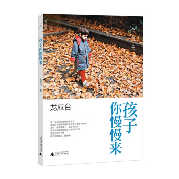 【新华书店正版书籍】孩子你慢慢来 pdf epub mobi 电子书 下载