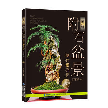 圖解附石盆景製作與養護(彩圖版) 王瓊培 福建科技齣版社 9787533551247 pdf epub mobi 電子書 下載