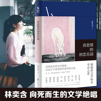房思琪的初恋乐园 林奕含文学作品 情感小说 自杀绝笔 简体中文版 年度华语小说 pdf epub mobi 电子书 下载