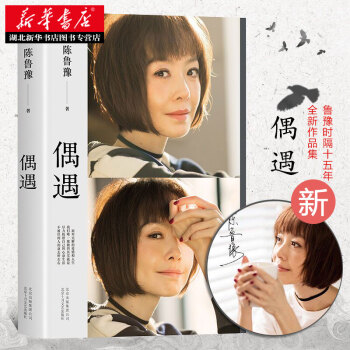 偶遇 （鲁豫时隔15年全新作品集） pdf epub mobi 电子书 下载