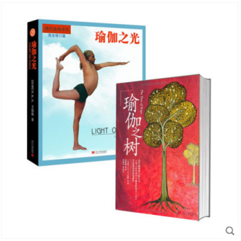 2本 瑜伽之树+瑜伽之光(两册)零基础瑜伽教程 艾扬格的瑜伽书 瑜伽入门教程大全 塑身塑
