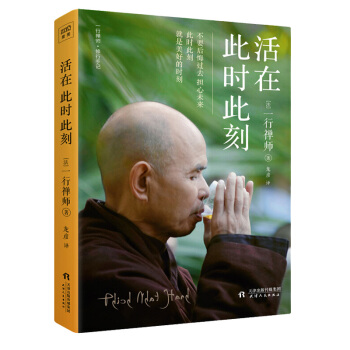 活在此时此刻 一切都是最好的安排 活出生命的意义 一行禅师 著 pdf epub mobi 电子书 下载