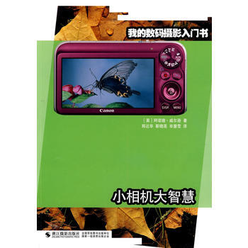 我的数码摄影入门书：小相机大智慧 阿诺德·威尔逊(Wilson.A.) 浙江摄影 9787 pdf epub mobi 电子书 下载