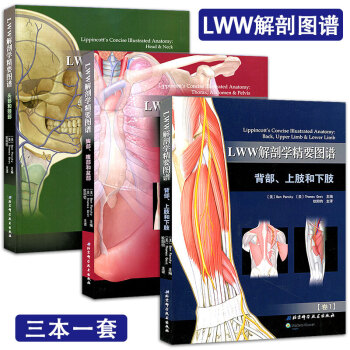 正版 LWW解剖学精要图谱卷一背部上肢和下肢+卷二胸部、腹部和骨盆+卷三头部和颈部 pdf epub mobi 电子书 下载