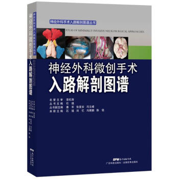 神经外科微创手术入路解剖图谱 pdf epub mobi 电子书 下载