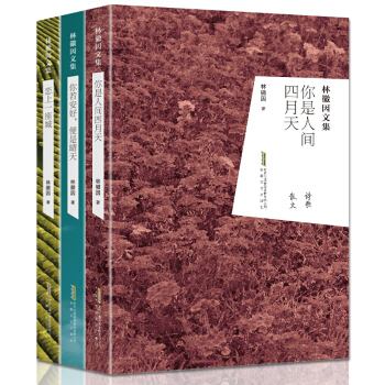 林徽因文集 作品 爱上一座城+你若安好便是晴天+你是人间的四月天全3册林徽因书散文小说诗