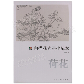 荷花 白描花卉寫生範本 人民美術齣版社 pdf epub mobi 電子書 下載