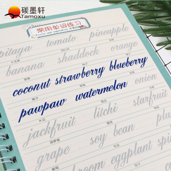 碳墨轩(tamoxu)英语字帖成人花体英文钢笔凹槽临摹练字帖2本装