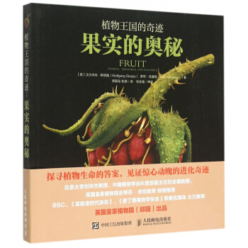 果实的奥秘(植物王国的奇迹) pdf epub mobi 电子书 下载