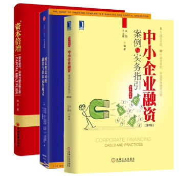 資本倍增+成長性公司的融資與資本運作模式+中小企業融資案例與實務指引 pdf epub mobi 電子書 下載