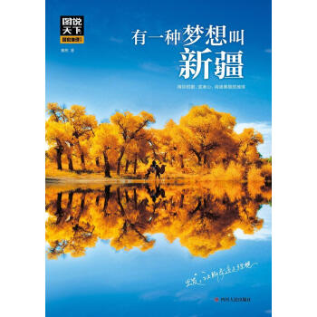 有一种梦想叫新疆 pdf epub mobi 电子书 下载