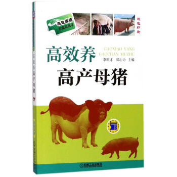 高效养高产母猪 pdf epub mobi 电子书 下载