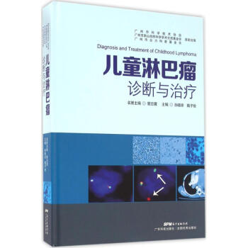 儿童淋巴瘤诊断与治疗 pdf epub mobi 电子书 下载