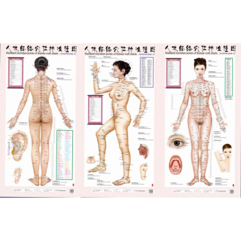 正版人体经络穴位标准挂图（女性）（1套3张挂图）女性人体穴位经络大挂图中医美体针灸艾灸养生 pdf epub mobi 电子书 下载