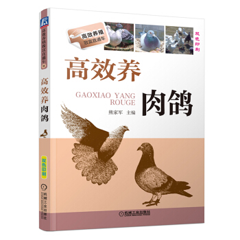 高效養肉鴿 鴿子養殖技術書大全 養殖專業科技書籍 鴿子疾病診斷與防治書 養殖肉鴿技巧養鴿子書籍 pdf epub mobi 電子書 下載