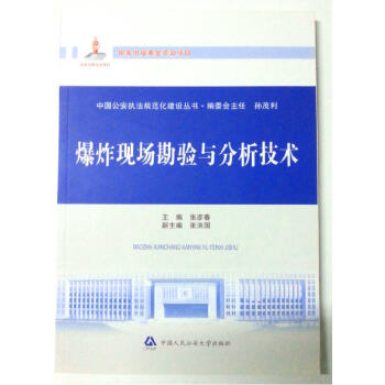 爆炸现场勘验与分析技术（中国公安执法规范化建设丛书） pdf epub mobi 电子书 下载