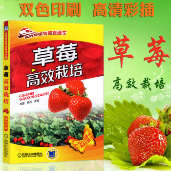 草莓高效栽培大棚暖棚草莓種植技術大全書籍草莓病蟲害診斷與防治技術書草莓育苗技術種植書農業種 pdf epub mobi 電子書 下載