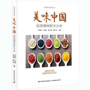 1b【汽车理论类书籍】美味中国—实用调味配方大全 李河山 食品轻工业书籍香料调味品制造教程 pdf epub mobi 电子书 下载