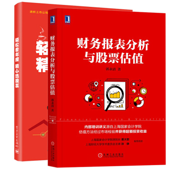 财务报表分析与股票估值 轻松看年报 精心选股票 上市公司财务报表分析解读 投资