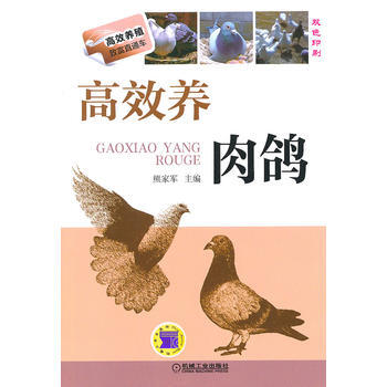 高效养肉鸽 鸽子养殖技术书大全 鸽子疾病诊断与防治 养鸽子书籍 新华书店官方正版 pdf epub mobi 电子书 下载