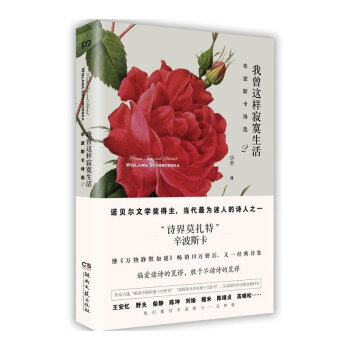 正版 我曾这样寂寞生活：辛波斯卡诗选2 诺贝尔文学奖得主 《万物静默如谜》作者 维斯拉瓦 pdf epub mobi 电子书 下载