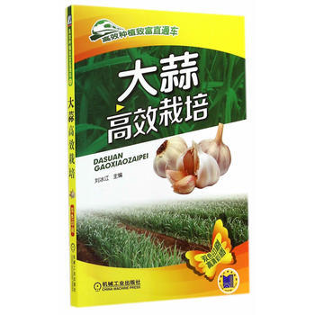 大蒜高效栽培(11) 暢銷書籍 種植業 正版 劉冰江 pdf epub mobi 電子書 下載