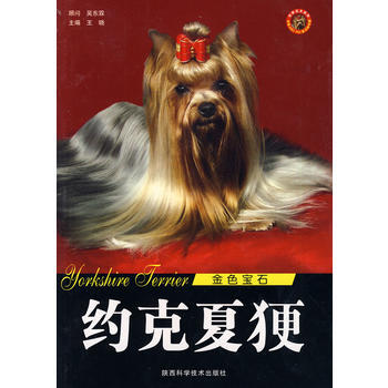 約剋夏更/金色寶石 暢銷書籍 時尚生活 正版 王曉 pdf epub mobi 電子書 下載