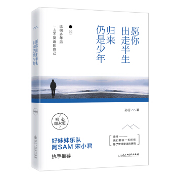 愿你出走半生，归来仍是少年/孙衍 励志 成功 心灵鸡汤 书籍 图书 pdf epub mobi 电子书 下载