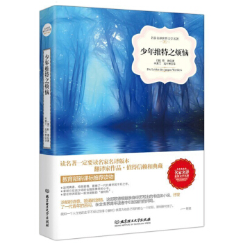 正版 少年維特之煩惱 文學世界名著套裝書店 名著外國名*名著初中青少年版世界十大名著全套