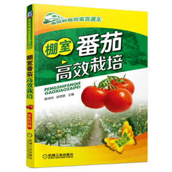 【正版現貨】 高效種植番茄書籍 西紅柿栽培技術大全書籍 大棚蔬菜栽培 番茄病蟲害防治書籍 pdf epub mobi 電子書 下載