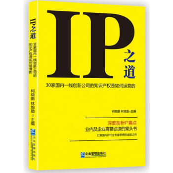 IP之道：30傢國內一綫創新公司的知識産權是如何運營的 pdf epub mobi 電子書 下載