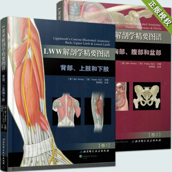 AC13号共2本正版LWW解剖学精要图谱背部上肢和下肢+胸部腹部和盆部卷一二医学生及普外胸 pdf epub mobi 电子书 下载