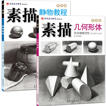 共2本零基礎素描教程書 百源基石教學係列素描幾何形體+素描靜物 從基礎到精通 單體組閤從結構到明暗 pdf epub mobi 電子書 下載